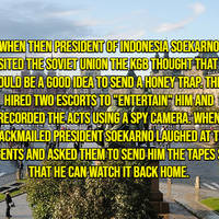 asian girls that are real stunners 51 pics 12.html - 51 HD Photos | Premium Gallery 2020