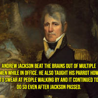 those boobs are popping 53 pics 8.html - 53 HD Photos | Premium Gallery 2021