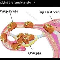 the hottest american athlete 32 pics 18.html - 32 HD Photos | Premium Gallery 2016