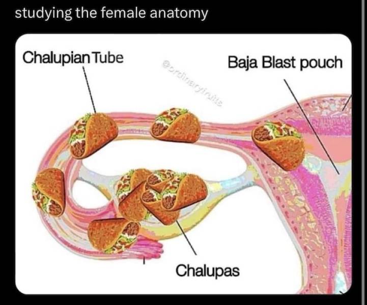 nsfw memes for grownups 31 pics 16.html - 31 HD Photos | Premium Gallery 2024