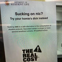 that looks like a fun game video.html - 1 HD Video | Premium Gallery 2022