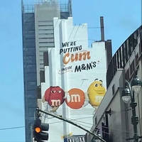 the busty waitrons of twin peaks restaurants 42 pics 34.html - 42 HD Photos | Premium Gallery 2013