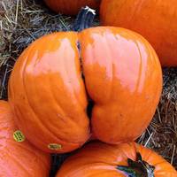 these selfies are real spicy 36 pics 27.html - 36 HD Photos | Premium Gallery 2025