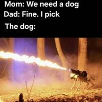 the hottest bikini babes of the 2015 hooters 98 pics 28.html - 98 HD Photos | Premium Gallery 2015