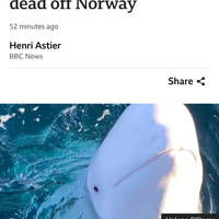 an israeli blonde bombshell who is making waves 38 pics 37.html - 38 HD Photos | Premium Gallery 2015