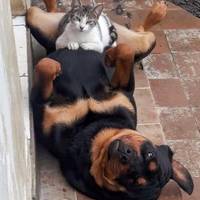 look at all these booties 47 pics 17.html - 47 HD Photos | Premium Gallery 2020