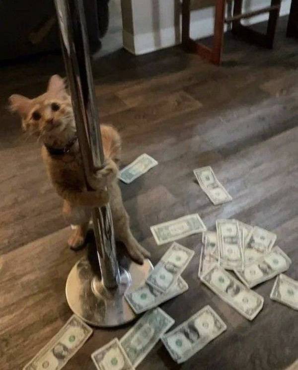 dirty minds are welcome 39 pics 14.html - 39 HD Photos | Premium Gallery 2024