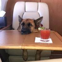 dirty mind come here 53 pics.html - 53 HD Photos | Premium Gallery 2020