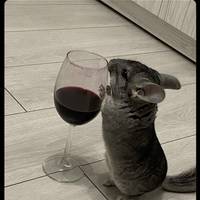 time for some russian hotties twerking.html - 1 HD Gallery | Premium Gallery 2015