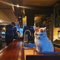 these fishergirls are reeling in hot 49 pics 8.html - 49 HD Photos | Premium Gallery 2021