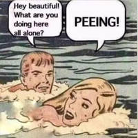 drunk people do so many stupid things 23 pics 23 gifs 4.html - 23 HD GIF | Premium Gallery 2018