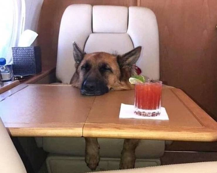 cheers everyone 58 pics 25.html - 58 HD Photos | Premium Gallery 2024