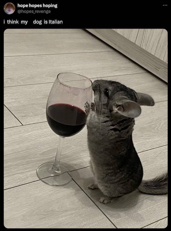 cheers everyone 58 pics 25.html - 58 HD Photos | Premium Gallery 2024