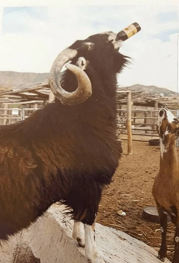 cheers everyone 58 pics 25.html - 58 HD Photos | Premium Gallery 2024