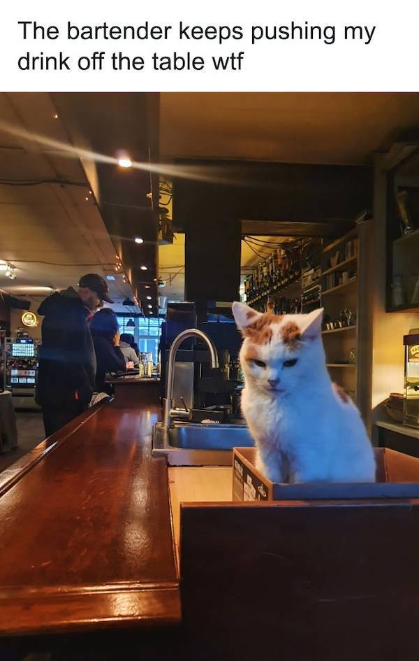 cheers everyone 58 pics 25.html - 58 HD Photos | Premium Gallery 2024