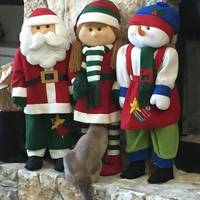 daily picdump 95 pics 20.html - 95 HD Photos | Premium Gallery 2019