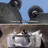 dirty mind come here 56 pics.html - 56 HD Photos | Premium Gallery 2021