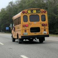 booty scoops anyone 49 pics 10.html - 49 HD Photos | Premium Gallery 2020