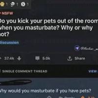 these flight attendants are very hot 35 pics 18.html - 35 HD Photos | Premium Gallery 2021