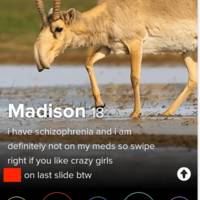 the rear view is pretty good 46 pics.html - 46 HD Photos | Premium Gallery 2020