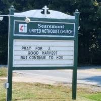 hey nice dress 31 pics 1.html - 31 HD Photos | Premium Gallery 2025