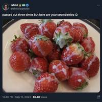 daily picdump 94 pics 4.html - 94 HD Photos | Premium Gallery 2018