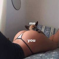 daily picdump 94 pics 29.html - 94 HD Photos | Premium Gallery 2012