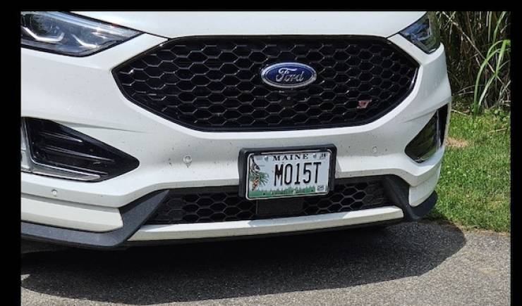 dirty minds only 41 pics 12.html - 41 HD Photos | Premium Gallery 2024