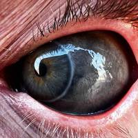 dirty mind come here 50 pics.html - 50 HD Photos | Premium Gallery 2019