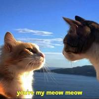 how boobs evolved since 1950s 13 pics 4.html - 13 HD Photos | Premium Gallery 2018