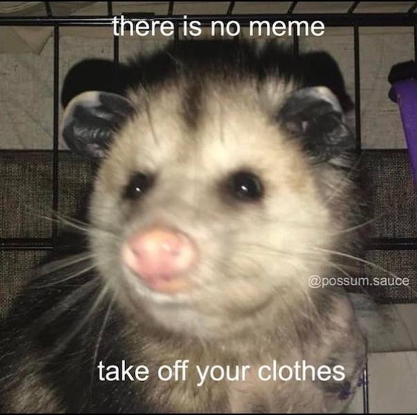 flirty memes to send your better half 30 pics 13.html - 30 HD Photos | Premium Gallery 2024