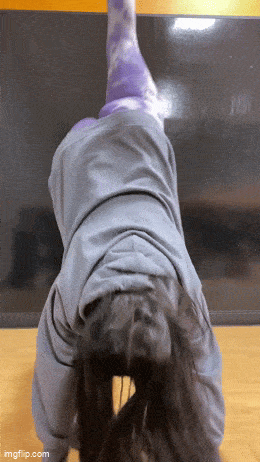 hot girls are here for you 32 gifs 3.html - 1 HD GIF | Premium Gallery 2024