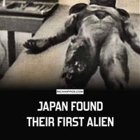 a cute blonde bombshell who is a serious 49 pics 30.html - 49 HD Photos | Premium Gallery 2013