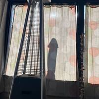 well this world cup is pretty hot 48 pics 33.html - 48 HD Photos | Premium Gallery 2018