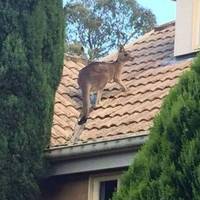 morning picdump 50 pics 23.html - 50 HD Photos | Premium Gallery 2017