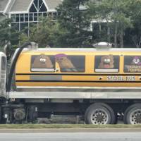 fit girls that are almost too hot to handle 71 pics 55.html - 71 HD Photos | Premium Gallery 2019