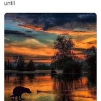 arent they a bit too tall 50 pics 20.html - 50 HD Photos | Premium Gallery 2012