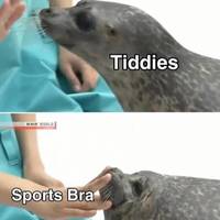 make these shorts shorter 52 pics.html - 52 HD Photos | Premium Gallery 2025