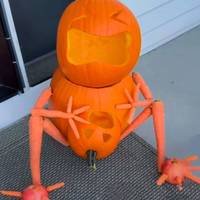 public signs wtf part 18 50 pics 47.html - 50 HD Photos | Premium Gallery 2012