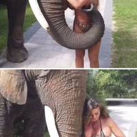 curiosities and bonus pictures.html - 1 HD Photos | Premium Gallery 2009