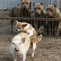 these selfies are real spicy 36 pics 34.html - 36 HD Photos | Premium Gallery 2025