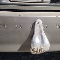 grownup corner 58 pics 17.html - 58 HD Photos | Premium Gallery 2021