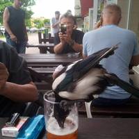 dirty mind come here 52 pics 30.html - 52 HD Photos | Premium Gallery 2020