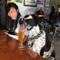 daily picdump 91 pics 34.html - 91 HD Photos | Premium Gallery 2017