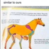 read between the tan lines 46 pics 21.html - 46 HD Photos | Premium Gallery 2024