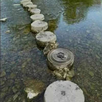 these black beauties are a real eye candy 43 pics 43.html - 43 HD Photos | Premium Gallery 2016