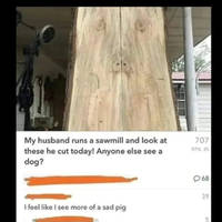 morning picdump 50 pics 22.html - 50 HD Photos | Premium Gallery 2012