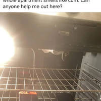 grownup corner 73 pics 9.html - 73 HD Photos | Premium Gallery 2020