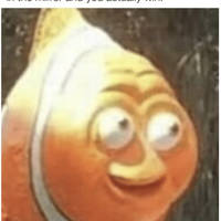 daily picdump weekend edition 53 pics 1.html - 53 HD Photos | Premium Gallery 2016