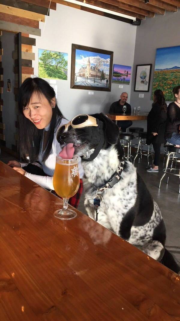 drinking never ends 47 pics 5.html - 47 HD Photos | Premium Gallery 2024